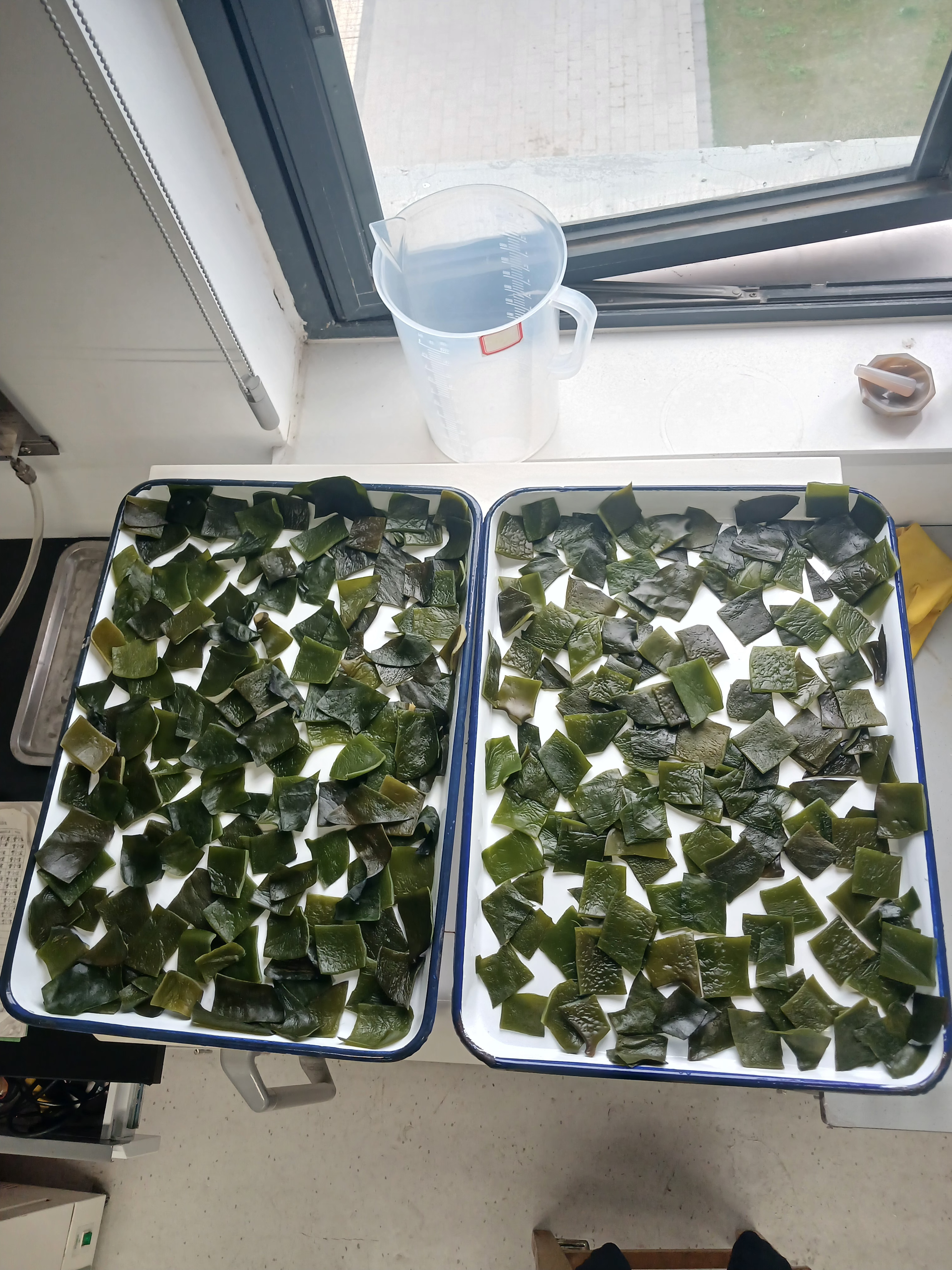 Biomass Samples for Research